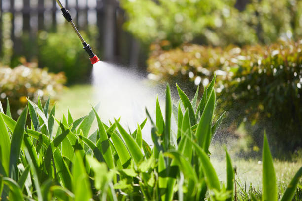 Tamper-Resistant Bait Stations for Rodents in Bylas