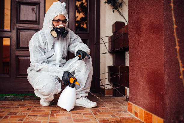 Attic and Crawl Space Rodent Treatment in Bylas