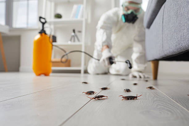 Commercial Rodent Management in Bylas